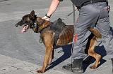 ARRESTATION POLICE 046